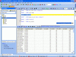 Oraspeed SQL Editor Screenshot