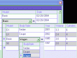 DataGrid Columns .NET assembly Screenshot