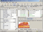 TracePlus Web Detective (eBusiness Edition) Screenshot