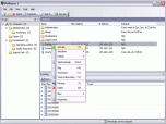 NetRouser 2 Professional Edition Screenshot
