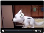 Flash Web Player