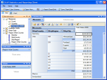 OLAP Statistics and Reporting for Access