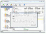 File Undelete 2011 Screenshot