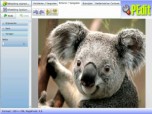 PEdit - Free Online Photo Editor Screenshot