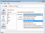 Right File Auditor Screenshot