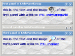 TAdvPanel & TAdvPanelGroup Screenshot