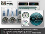 Nevron Gauge for SSRS Screenshot