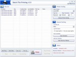 Batch Files Printing Screenshot