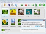 JavaScript Photo Gallery Maker Screenshot