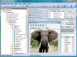 PostgreSQL Maestro Screenshot