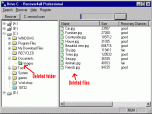 Recover4all Professional Screenshot