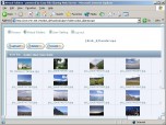 Easy File Sharing Web Server Screenshot