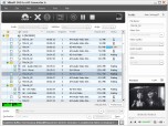 Xilisoft DVD to AVI Converter Screenshot