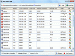 365TCPView_XP Screenshot