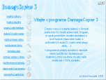 DamageCopier Screenshot