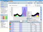 NetFlow Auditor