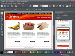 Xara Web Designer