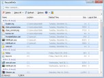 RecycleBinEx Screenshot
