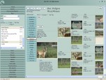 Deer Manager 007