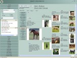 Equine Manager 007 Screenshot