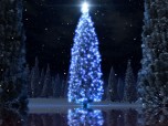 Christmas Tree Animated Wallpaper