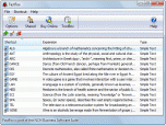 FastFox Business Typing Expander Screenshot