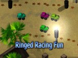 Ringed Racing Fun Screenshot