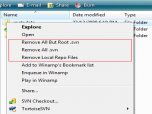 SVN Cleaner Screenshot