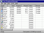 Easy Download Manager Screenshot