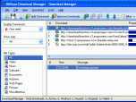 BitRope Download Manager Screenshot