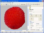 Picture Cutout Guide Lite