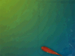 Animated Fish Desktop Wallpaper Screenshot