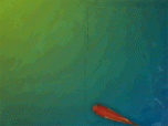 Animated Fish Desktop Wallpaper