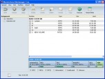 Wondershare Disk Manager Free