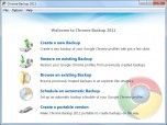 zebNet Chrome Backup 2012 Screenshot