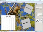 jalada Collage for Windows Screenshot