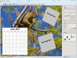 jalada Collage for Windows