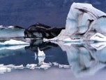 Polar Iceberg Screensaver