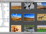 ACDSee Pro Mac Screenshot