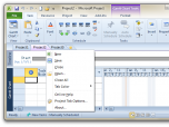 Office Tab for Project (x64) Screenshot