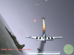 Flight for Fight Screenshot