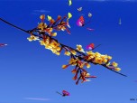 Free 3D Butterfly Screensaver