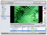 Elmedia Player