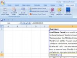 Excel Word Count Screenshot