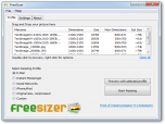 FreeSizer Screenshot