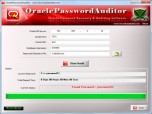 Oracle Password Auditor Screenshot