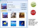 MSN Slide Max Screenshot