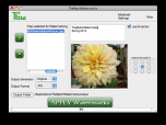 Tbw - windows watermark sotware Screenshot
