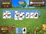 Best in Show Solitaire