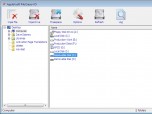 AppleXsoft File Eraser